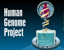 human-genome-project-big